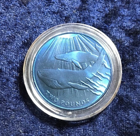 Titan Farb-Gedenkmünze South Georgia & the South Sandwich Islands 2 Pounds 2013 "Blaue Wale"